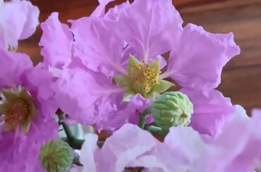 Baked Layered Cheesy pasta dish#cheesypasta#italian#onepotmeal#spicycheesypasta#easytomake
