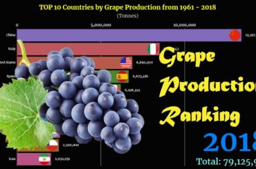 Grape Production Ranking | TOP 10 Country from 1961 to 2018