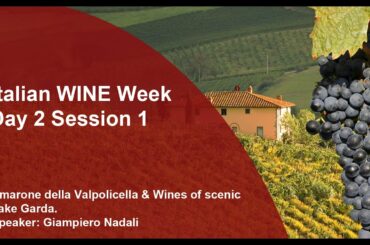 Italian WINE Week (Day 2 Session 1) - Amarone della Valpolicella & Wines of scenic Lake Garda
