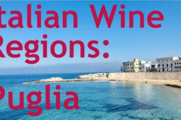 Italian Wine Regions - Puglia