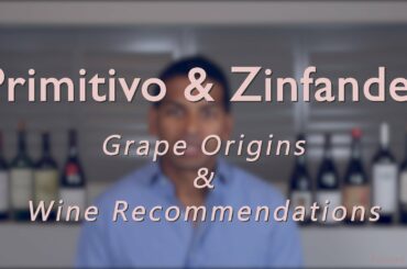 Primitivo, Red Zinfandel & White Zinfandel - Grape origins and Wine Recommendations Video
