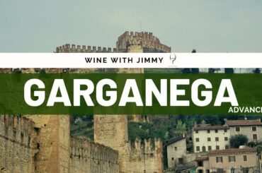 Grape Varieties Garganega Advanced Version ideal for WSET L3 and L4