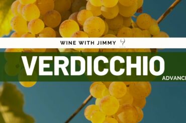 Grape Varieties - Verdicchio Advanced Version ideal for WSET L3 and L4