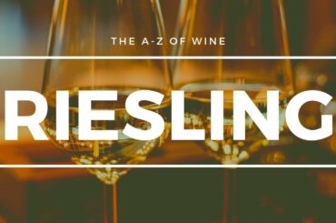 What is RIESLING - Everything you need to know about this popular German grape.