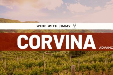 Grape Varieties - Corvina Veronese Advanced Version ideal for WSET L3 and L4