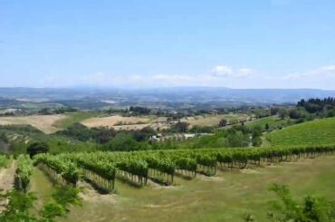Tuscan Countryside (from Pisa to San Gimignano), Italy 2019
