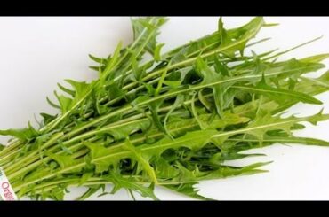 Dandelion Greens 101