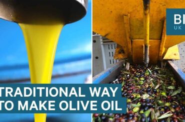 Inside a traditional Italian olive oil mill