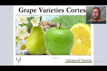 Grape Varieties - Cortese Advanced Version ideal for WSET L3/L4 and IWS