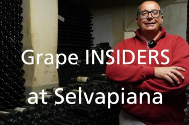 Grape INSIDERS: at Fattoria Selvapiana in Rufina, Tuscany Wine Tours
