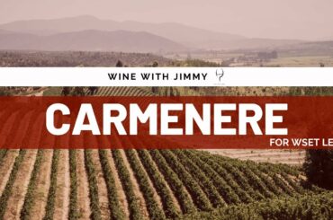 Grape Varieties - Carmenere Intermediate Version ideal for WSET L2