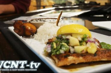 Episode 38 - Neighborhood Dining News : Three Lutz Must-Try Restaurants!