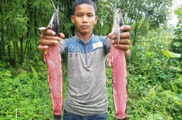 Catfish Curry | Delicious Fish Curry Recipe | Palash's Cooking