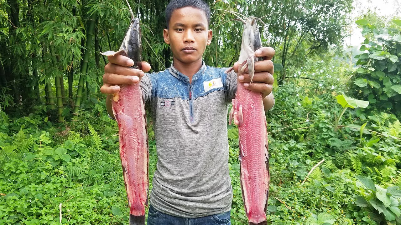 Catfish Curry | Delicious Fish Curry Recipe | Palash's Cooking Catfish Curry | Delicious Fish Curry Recipe | Palash's Cooking