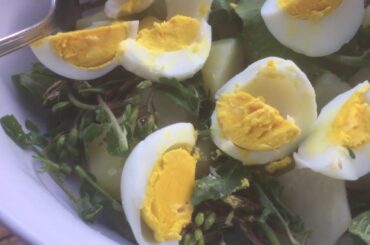 Slow Living & Producing My Own Foods in the Mountain of Italy | Sowing Potatoes and Onions