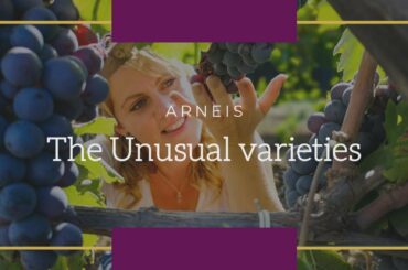 Love wine Learn wine - The unusual varieties: Arneis