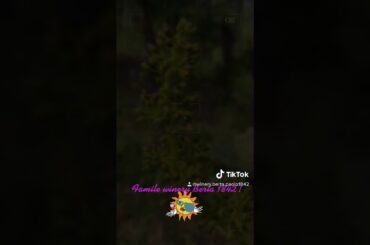 Enjoy Piedmont wine and Barbera from Nizza Monferrato, viniberta.com, Family winery Berta 1842