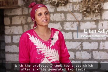 Improving Household Food and Nutrition Security in Egypt – Revolving Fund