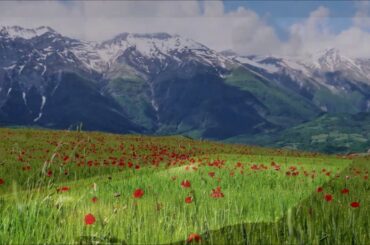 For Sale - Villa Carlina