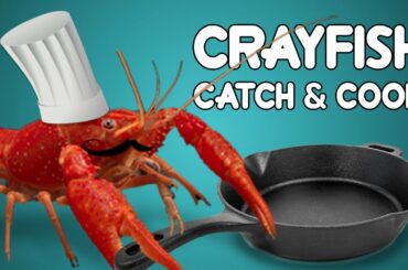 Crayfish Catch and Cook [Italian Recipe]
