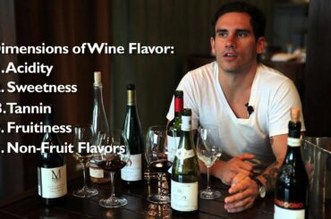 Wine's Cool - Class 1: Basics of Wine