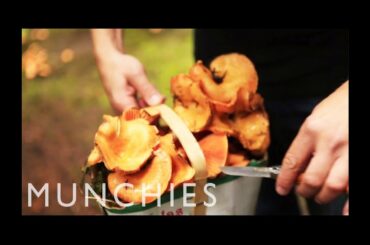 Hangover Cures: Mushroom Pappardelle and Sicilian Street food