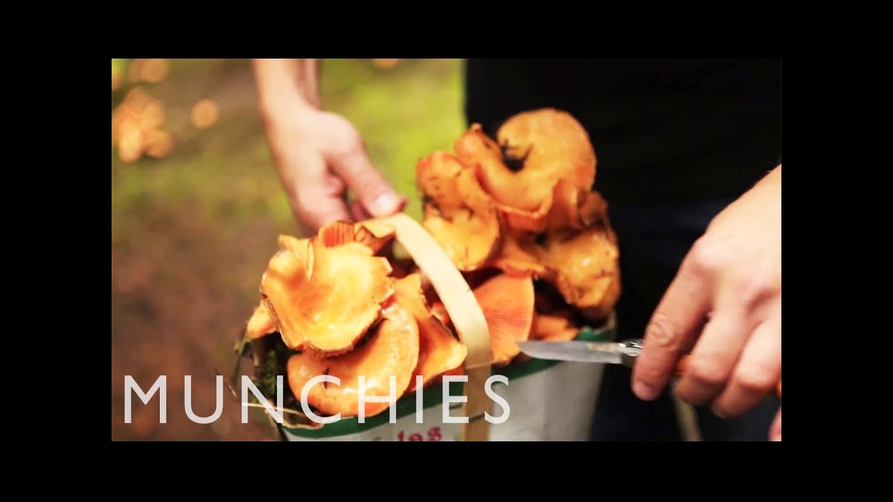 Hangover Cures: Mushroom Pappardelle and Sicilian Street food Hangover Cures: Mushroom Pappardelle and Sicilian Street food