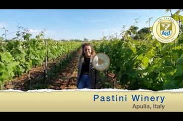 AHI Pastini Winery Apulia Italy