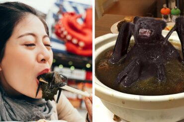 17 Animals You Should NEVER Eat