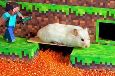 Hamster Minecraft Maze 🐹 labyrinth Hamsters in Terraria Funny Hamster Vertical Maze Homura Ham