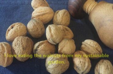 Slow Living | Picking Up Culinary Herbs | Cooking Potato Cake & Pasta with Tomato Sauce & Olives