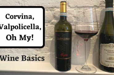 Corvina and Valpolicella | Wine Basics