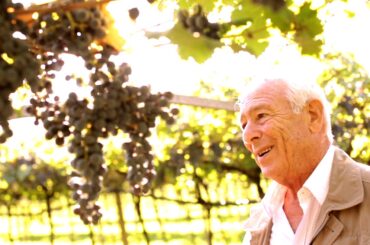 Tenuta San Leonardo, Trentino, Italy