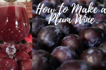 Home Made Plum Wine (In 12 days)