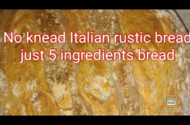 How to bake Italian rustic bread