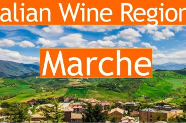 Italian Wine Regions: Marche