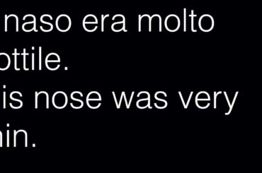 Learn Italian Audiobook - Journey to the center of the earth 1