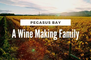 Pegasus Bay: A Wine Making Family