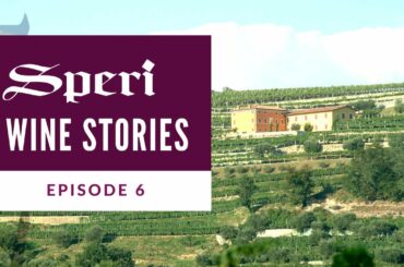 Speri Wine Stories | Episode 6: The Sant’Urbano Cru