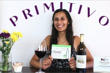Primitivo Wine Tasting | Everything You Need To Know