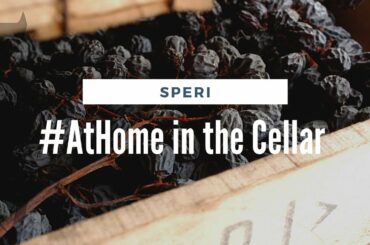 #AtHome in the Cellar with Speri Winery