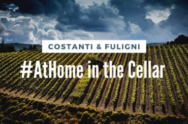 #AtHome in the Cellar with Costanti and Fuligni Winery