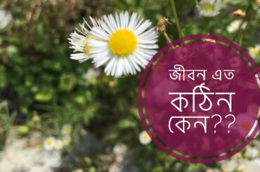 এমন জরুরি অবস্থায় ইউরোপের মত জায়গায় চলাটা খুব কঠিন 😞Easy diet recipe // ITALY 🇮🇹 Milano