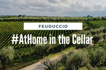 #AtHome in the Cellar with Feuduccio Winery