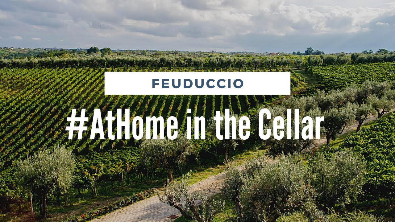 #AtHome in the Cellar with Feuduccio Winery #AtHome in the Cellar with Feuduccio Winery