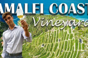 VINEYARD, WINERY FOR SALE IN ITALY, AMALFI COAST| Romolini Christie's