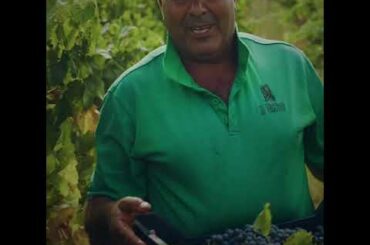 Award winning wines from Polignano A Mare, Puglia, Italy