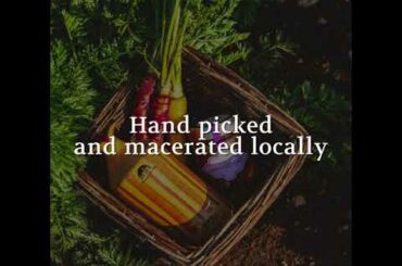 Olive Oil and Wine from Terre Di San Vito, Polignano mare, Puglia, Italy