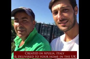 Our delicious Olive Oil and Wine delivered to your home