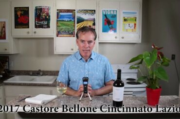 Wine Shop Wine with Bacchus Bruce 2017 Castore Bellone Cincinnato Lazio Italy Wine Tasting